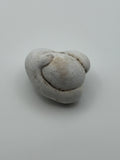 Fairy Stone