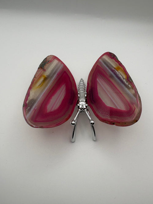 Agate Wing Butterfly