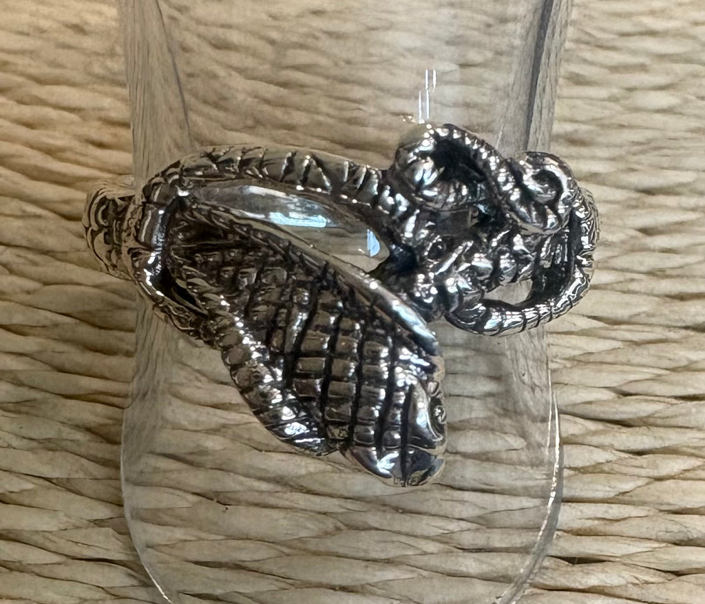 Silver Rings - Front Counter