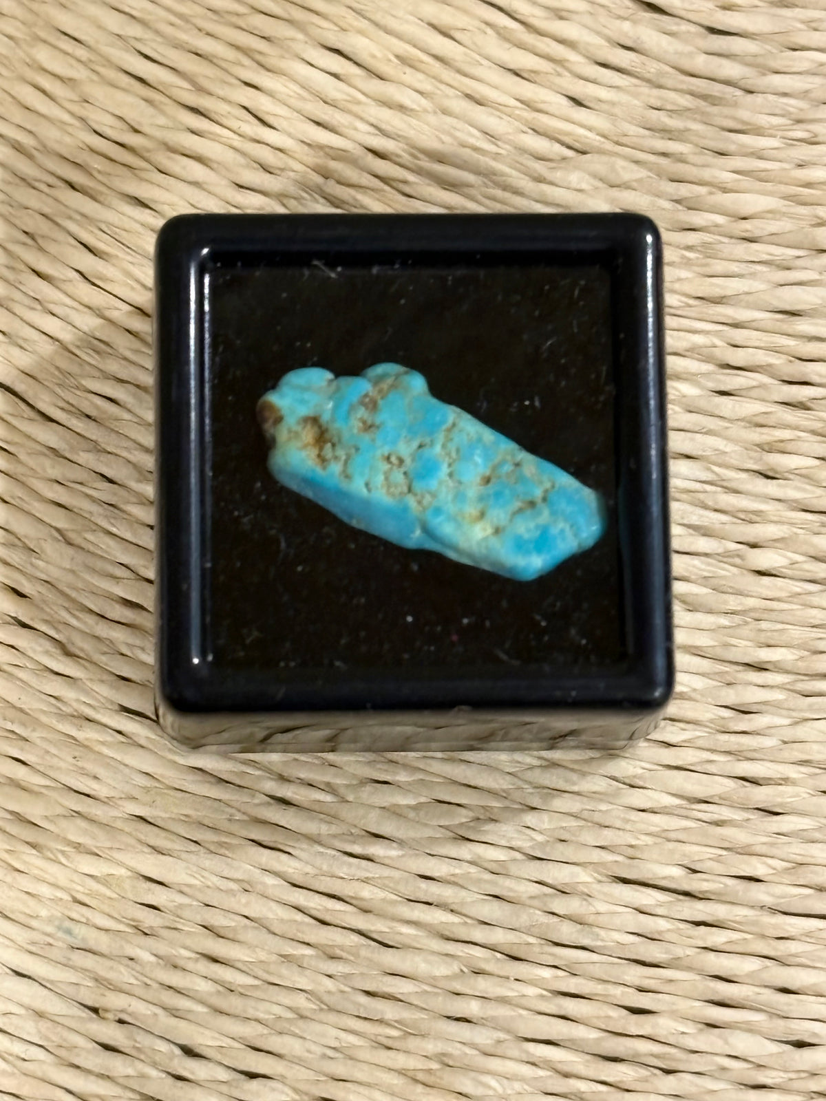 Turquoise Rough in Case