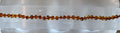 Amber Baby Necklace
