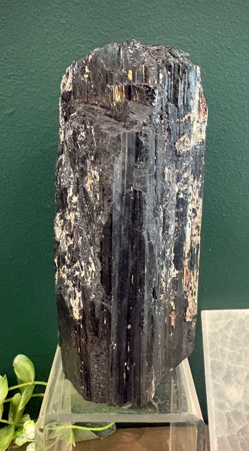 Black Tourmaline with Sawn Base (A)