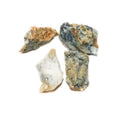 Dendritic Agate