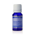 Eucalyptus Essential Oil
