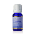 Lavender Essential Oil